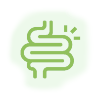 Intestino